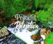 Beautiful Relaxing Music - Peaceful Soothing Instrumental Music, Stress Relief, Deep Focus Music from daawat e ishq instrumental version sajid wajid 320kbps