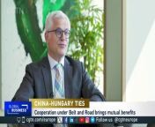 Radovan Jelašić, Managing director of Erste Bank Hungary and also President of the Hungarian Banking Association spoke to CGTN Europe on China’s president Xi Jinping’s upcoming visit and China-Hungary trade ties.