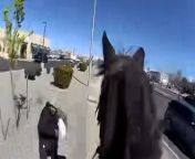 Watch the moment a suspected shoplifter was chased by police on horseback in New Mexico.Bodycam footage released by Albuquerque Police Department shows a dark-brown horse trotting through a parking lot behind a man in black clothing on Wednesday, 20 March. The suspected shoplifter was detained outside a Walgreens after trying to outrun a horse-mounted police officer.The man is then surrounded when two more police officers on horses arrive at the scene. One of the officers dismounts from his horse and handcuffs the man, who has been charged with stealing &#36;230 worth of merchandise from Walgreens, according to the Albuquerque Police Department.Albuquerque Police Department